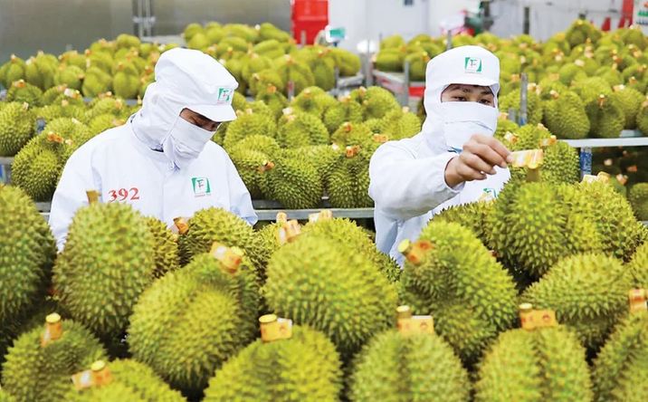 Vietnamese agricultural exports poised for growth in China
